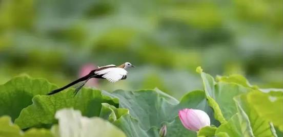 �����ڡ���������������ս��ʵ������� ����ʡ��ȫ���조��������������ս