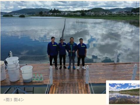 ���ι���|UB8���ι���|��������δ��