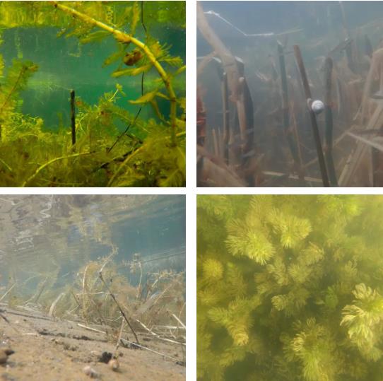 ���ι���|UB8���ι���|��������δ��