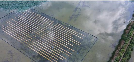 ���ι���|UB8���ι���|��������δ��