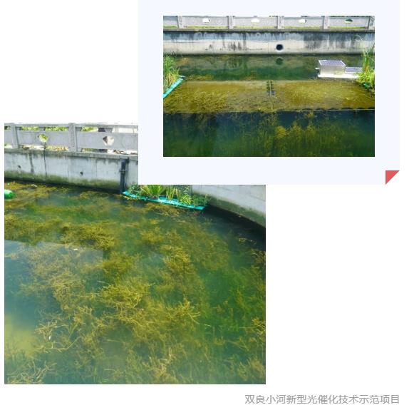 ���ι���|UB8���ι���|��������δ��