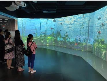 ���ι���|UB8���ι���|��������δ��