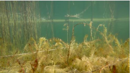 ���ι���|UB8���ι���|��������δ��