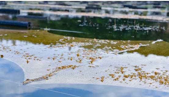 ���ι���|UB8���ι���|��������δ��