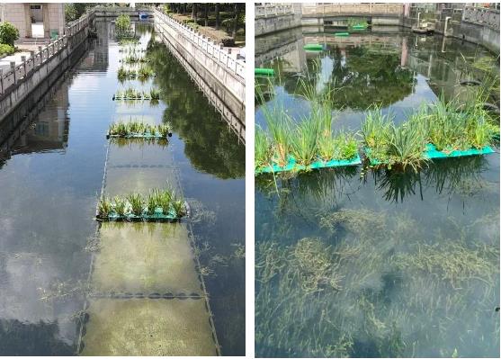 ���ι���|UB8���ι���|��������δ��