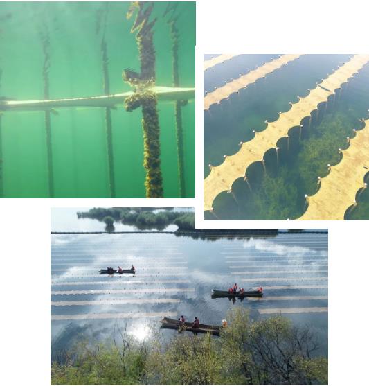 ���ι���|UB8���ι���|��������δ��