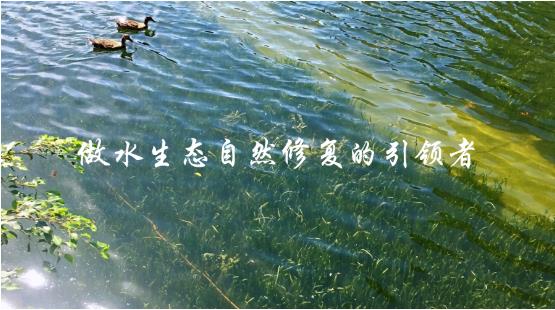 PMAES����ϵͳ����������л�˳���ٿ�