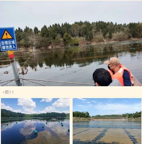 ���ι���|UB8���ι���|��������δ��