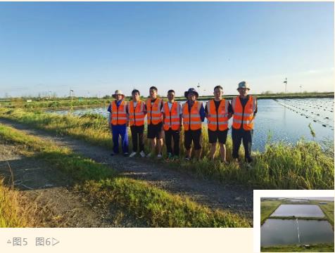 ���ι���|UB8���ι���|��������δ��