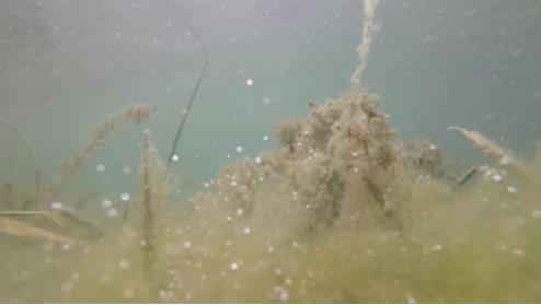 ���ι���|UB8���ι���|��������δ��