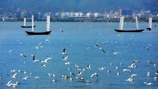 �����ڡ���������������ս��ʵ������� ����ʡ��ȫ���조��������������ս