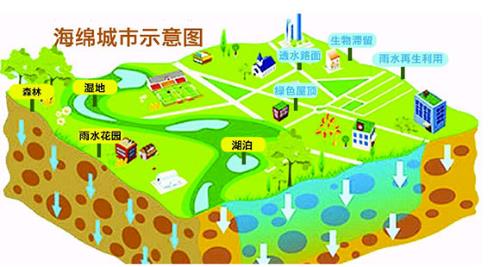 �����඼�ᡱ ֪ʶС����