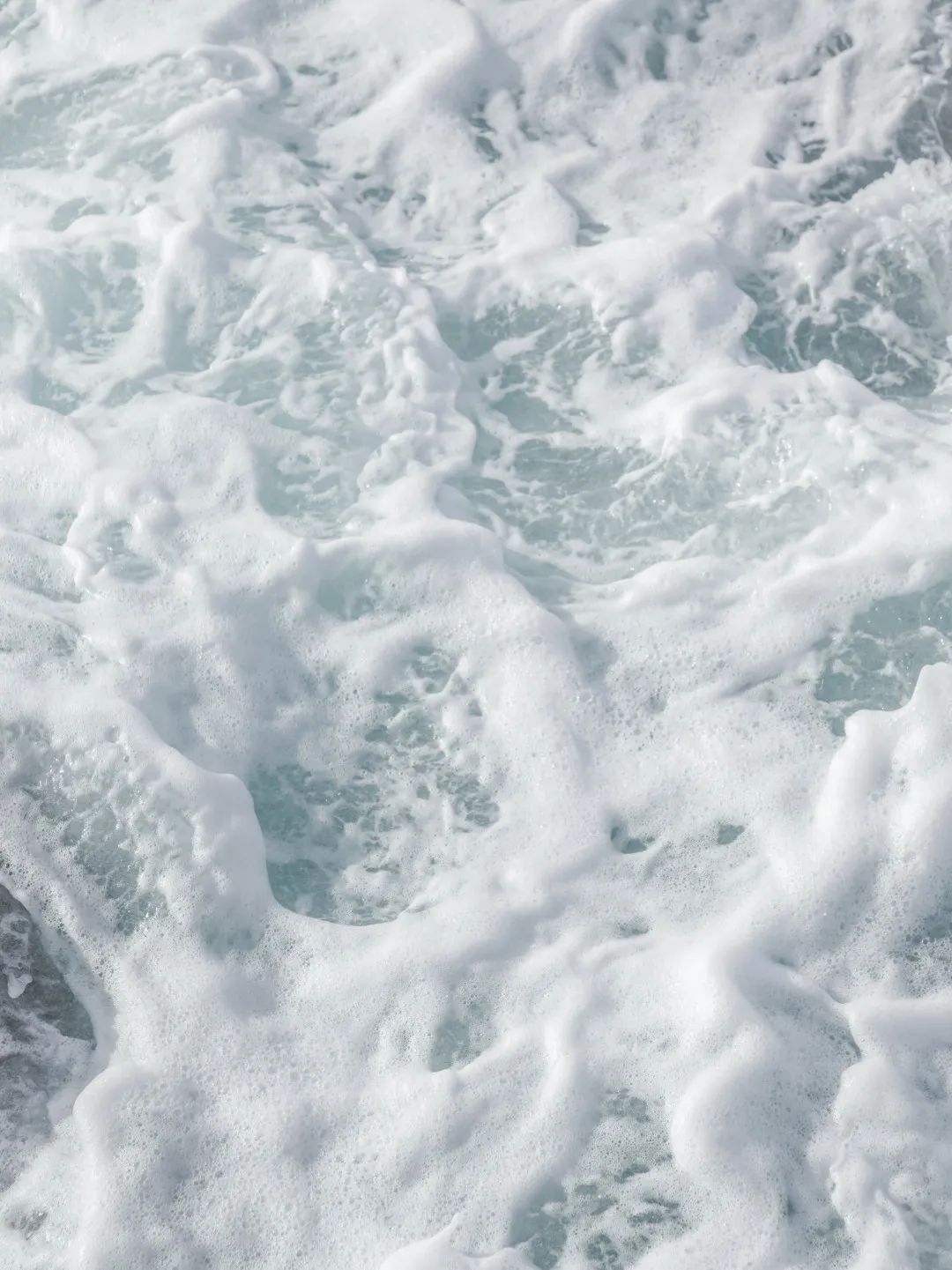 ����С���õ�34�� | ��������ԭ����Ӧ��