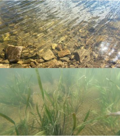 ���ι���|UB8���ι���|��������δ��