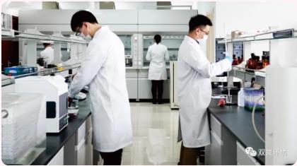 ���ι���|UB8���ι���|��������δ��