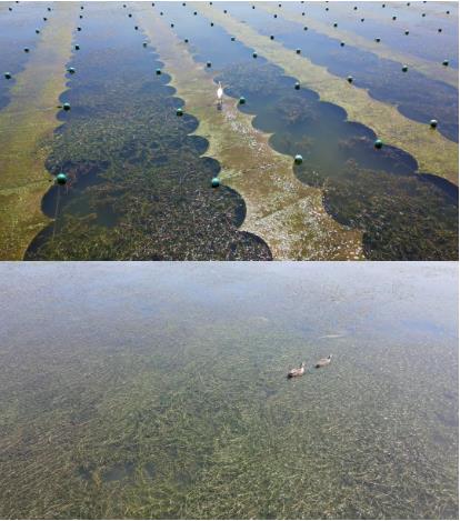 ���ι���|UB8���ι���|��������δ��