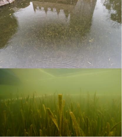 ���ι���|UB8���ι���|��������δ��