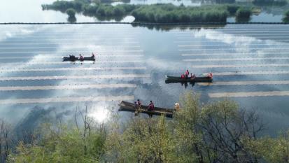 ���ι���|UB8���ι���|��������δ��