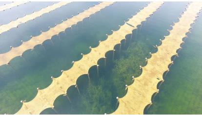 ���ι���|UB8���ι���|��������δ��