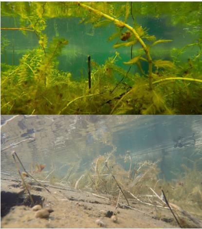 ���ι���|UB8���ι���|��������δ��