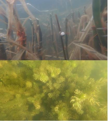 ���ι���|UB8���ι���|��������δ��