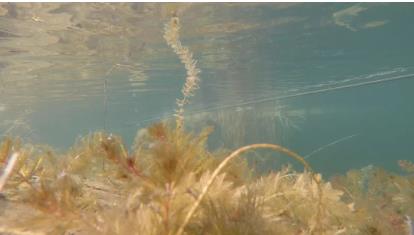 ���ι���|UB8���ι���|��������δ��