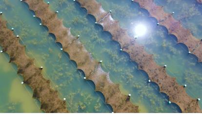 ���ι���|UB8���ι���|��������δ��