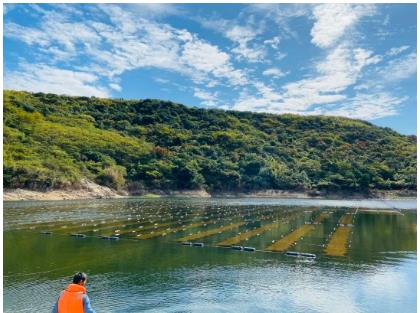 ���ι���|UB8���ι���|��������δ��