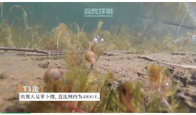 ����������������������������ι���ub8�������ж���