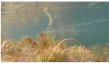 ���ι���|UB8���ι���|��������δ��