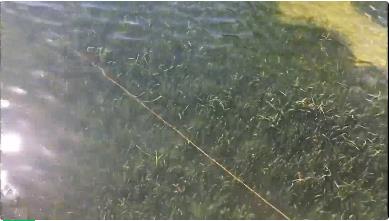 ���ι���|UB8���ι���|��������δ��