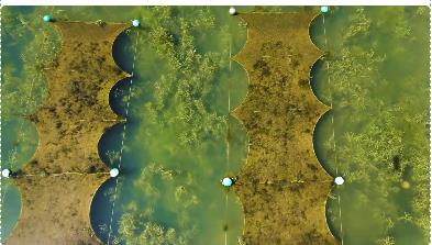 ���ι���|UB8���ι���|��������δ��