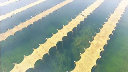 ���ι���|UB8���ι���|��������δ��