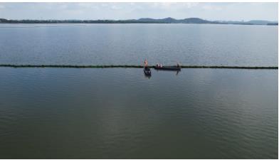 ���ι���|UB8���ι���|��������δ��