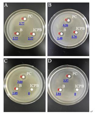 ���ι���|UB8���ι���|��������δ��