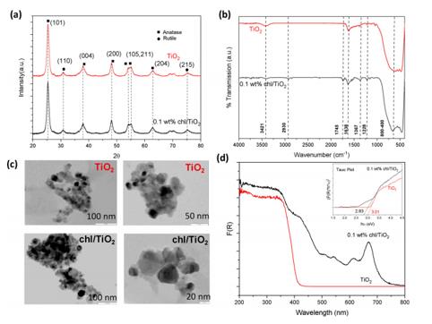 ���ι���|UB8���ι���|��������δ��