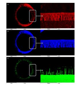 ���ι���|UB8���ι���|��������δ��