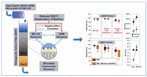���ι���|UB8���ι���|��������δ��