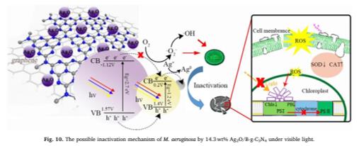 ���ι���|UB8���ι���|��������δ��