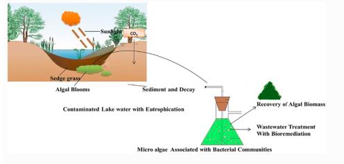 ���ι���|UB8���ι���|��������δ��
