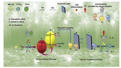 ���ι���|UB8���ι���|��������δ��