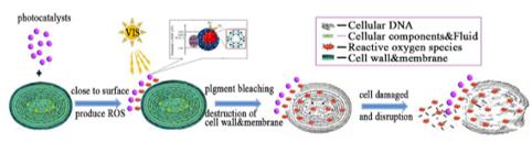 ���ι���|UB8���ι���|��������δ��