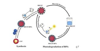 ���ι���|UB8���ι���|��������δ��