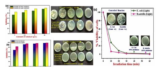 ���ι���|UB8���ι���|��������δ��