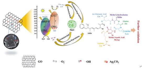 ���ι���|UB8���ι���|��������δ��