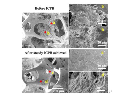 ���ι���|UB8���ι���|��������δ��