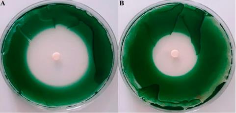 ���ι���|UB8���ι���|��������δ��