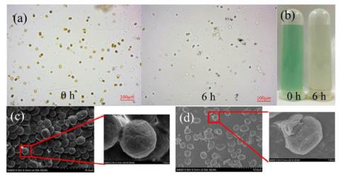 ���ι���|UB8���ι���|��������δ��