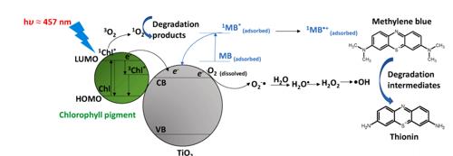 ���ι���|UB8���ι���|��������δ��