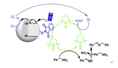 ���ι���|UB8���ι���|��������δ��